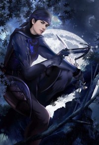 蓋世王婿